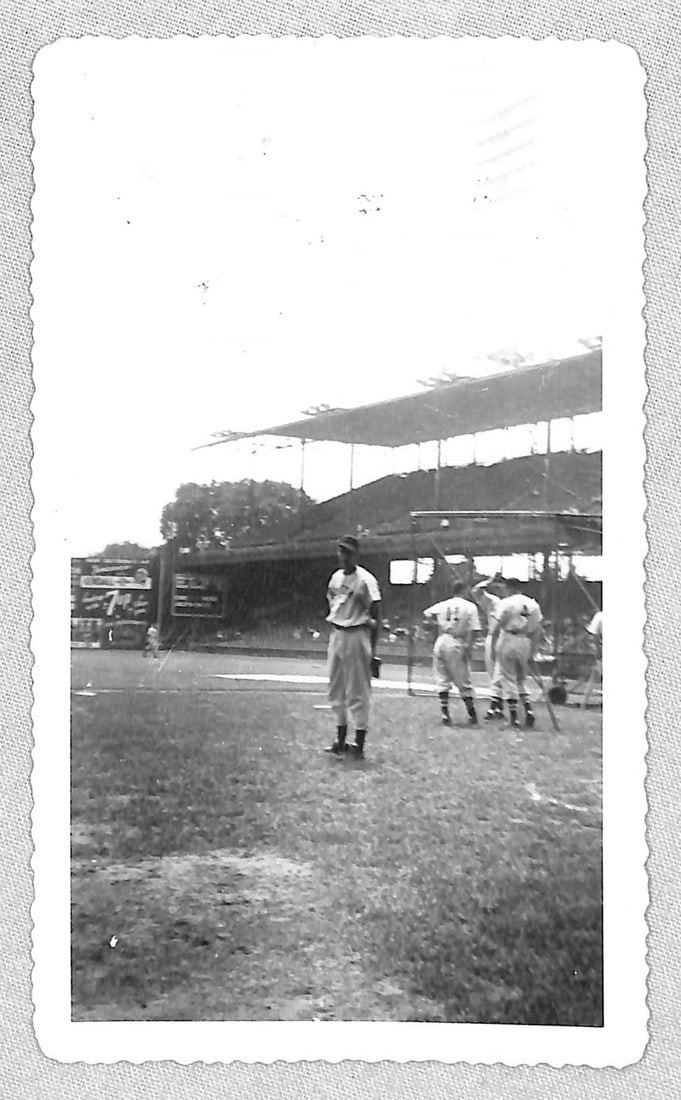 Vintage Ted Williams Original Baseball Snapshot: Vintage Ted Williams Original Baseball Snapshot Photo