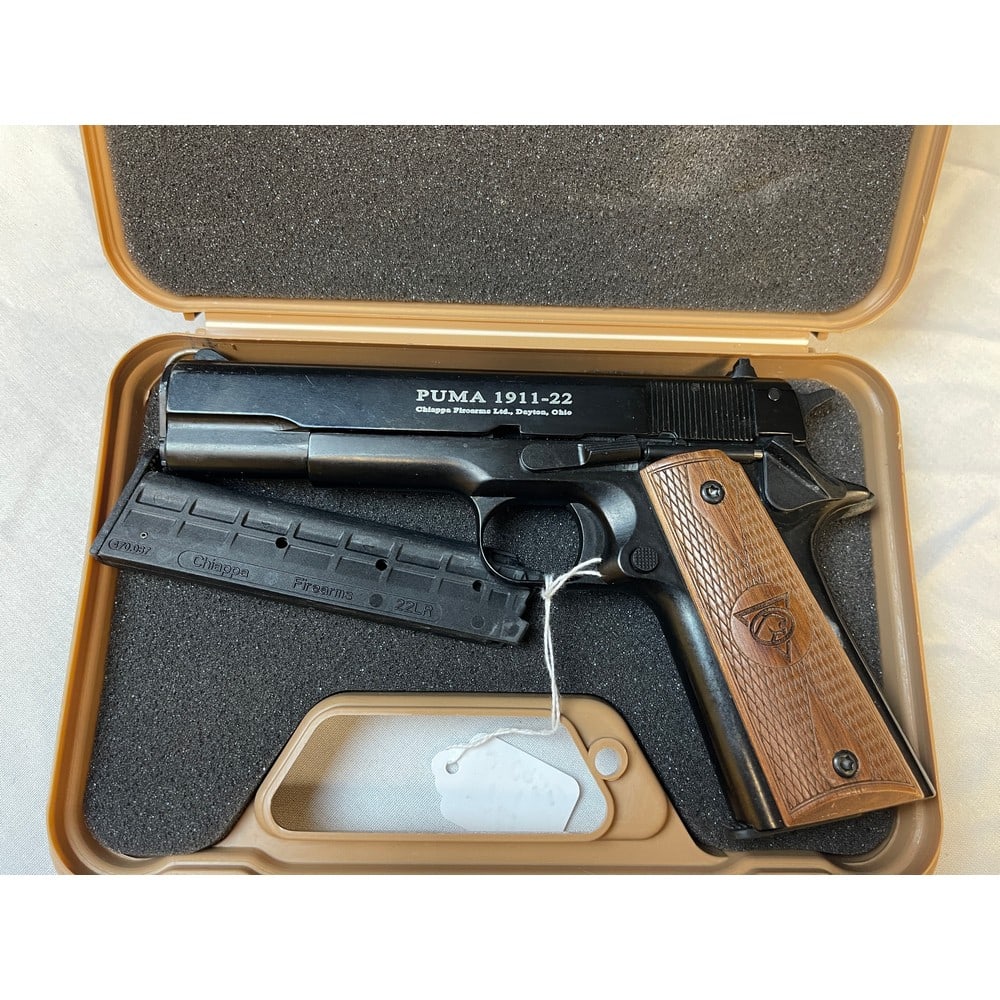 Chiappa Model 1911-22 Pistol With Extra Mag: Serial Number D37170