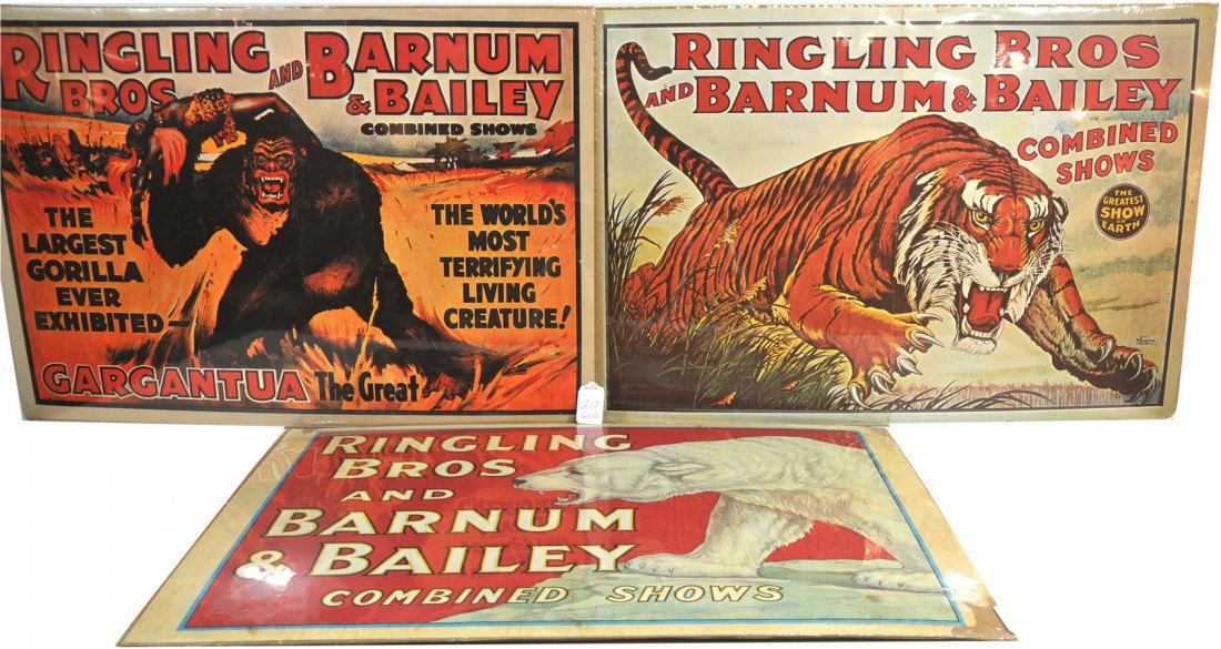 Ringling Bros & Barnum Bailey Circus lot/CG: Three Ringling Bros & Barnum Bailey Circus posters with clown, polar bear, tiger, and gorilla prints. (All original) Polar bear, tiger and gorilla 17" x 25". Also included100 year anniversary book (19