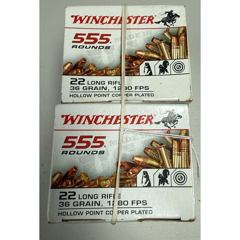 (2) 555 Round Winchester 22 Caliber Boxes: 36 Grain