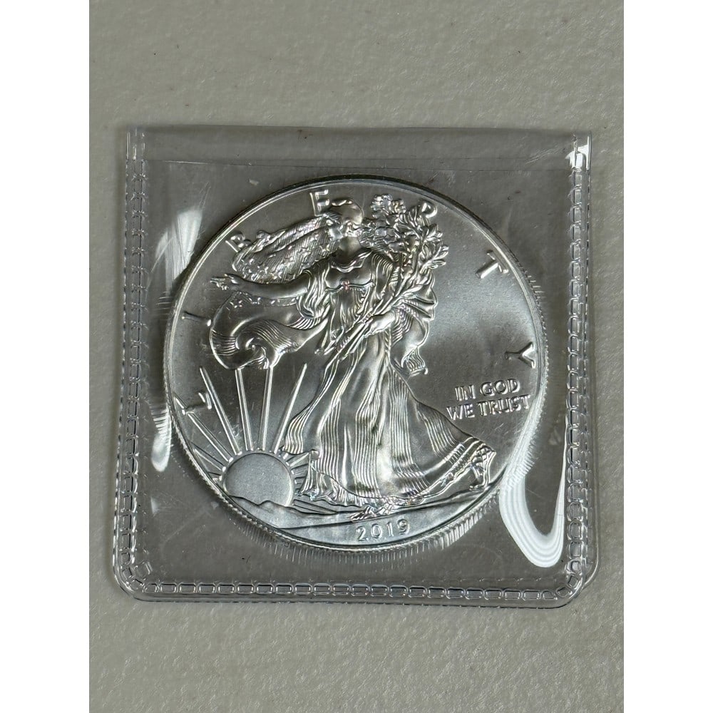 2019 Us Silver Eagle (1 of 2)