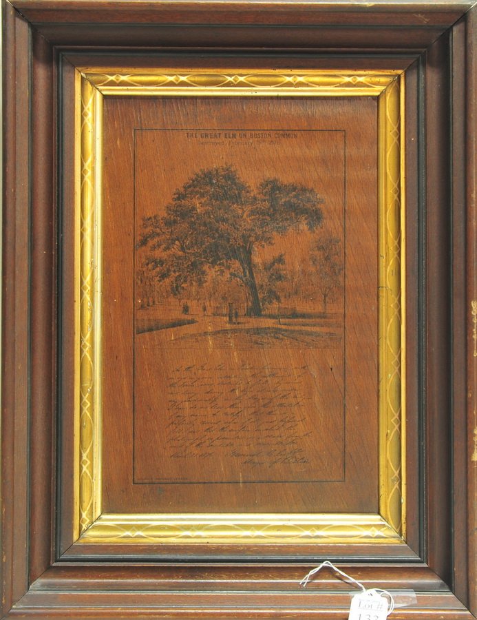 Hand Cut and Framed Great Elm of Boston piece: Framed section of the Great Elm of Boston destroyed in 1876. Piece is cut and story of the elm is printed on the front. 14x9