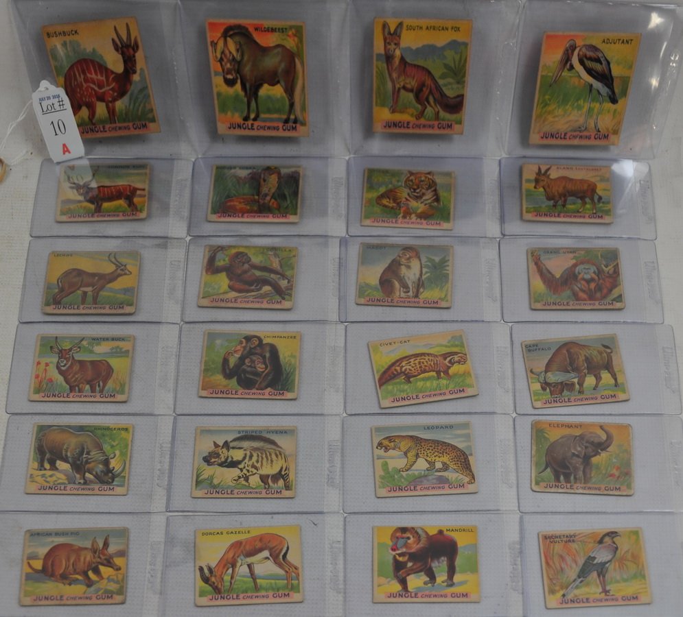 24 1930's Jungle Gum Cards: Animals of the World