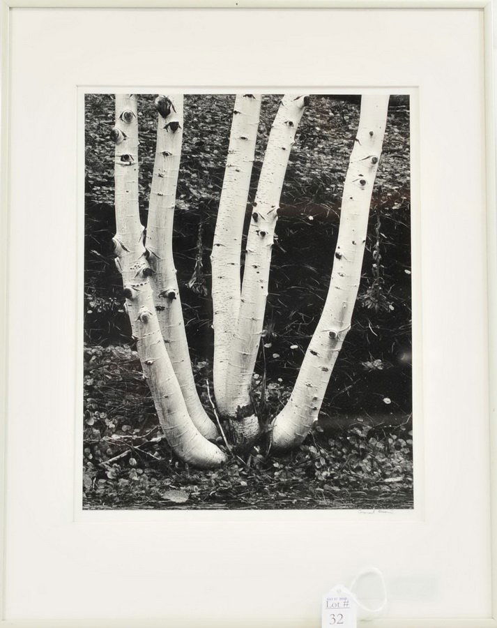 Original Conrad Marvin Silver Print (1 of 2)