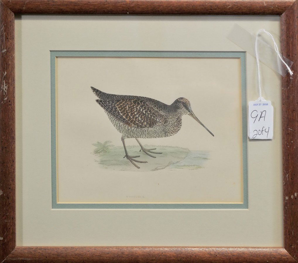 Four Vintage Hand painted Bird Lithographs (1 of 4)