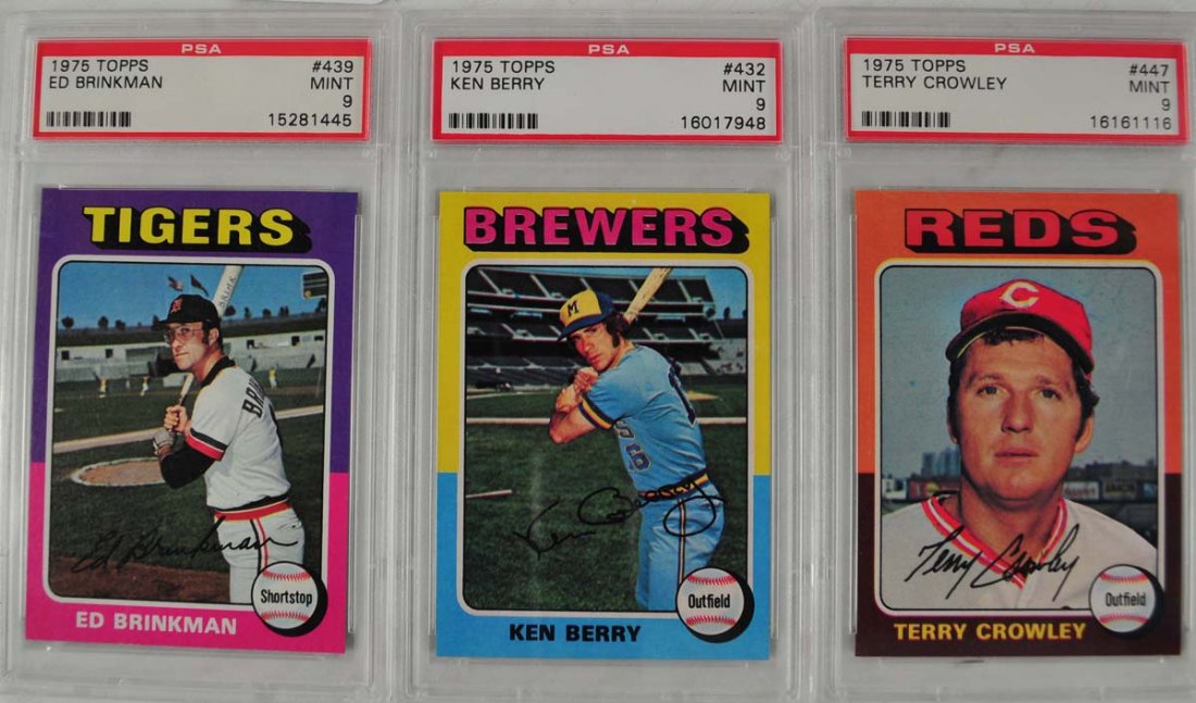 15 1975 Topps Baseball Cards PSA Graded Mint 9 (1 of 10)