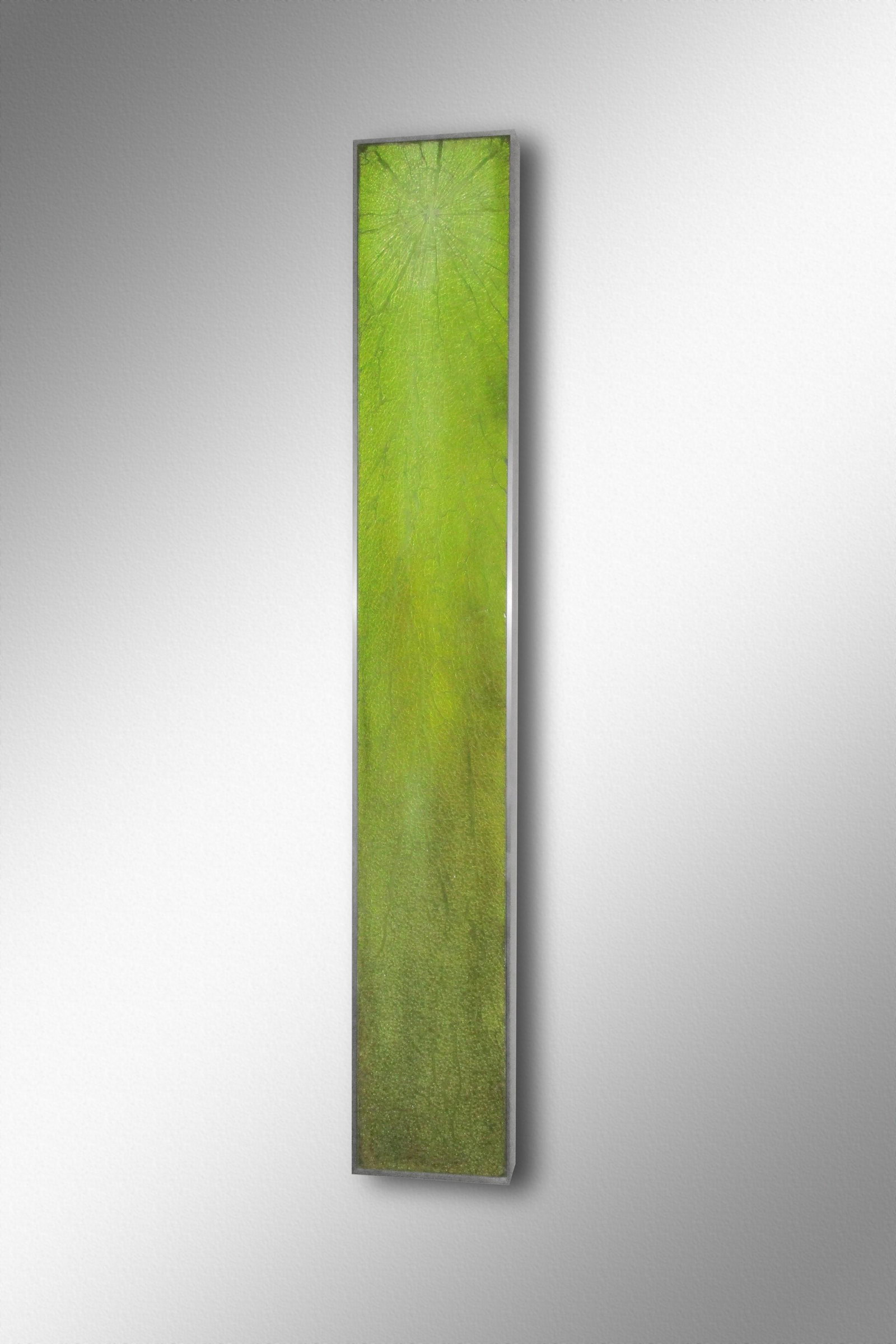 Cassandria Blackmore Floros 2008 Art Glass Habatat: Cassandria Blackmore (USA), Floros, 2008. 52 x 8 x 2 inches. A stunning wall mounted sculpture featuring her glass, paint and hammer process. The gallery has only offered one work by this artist on th
