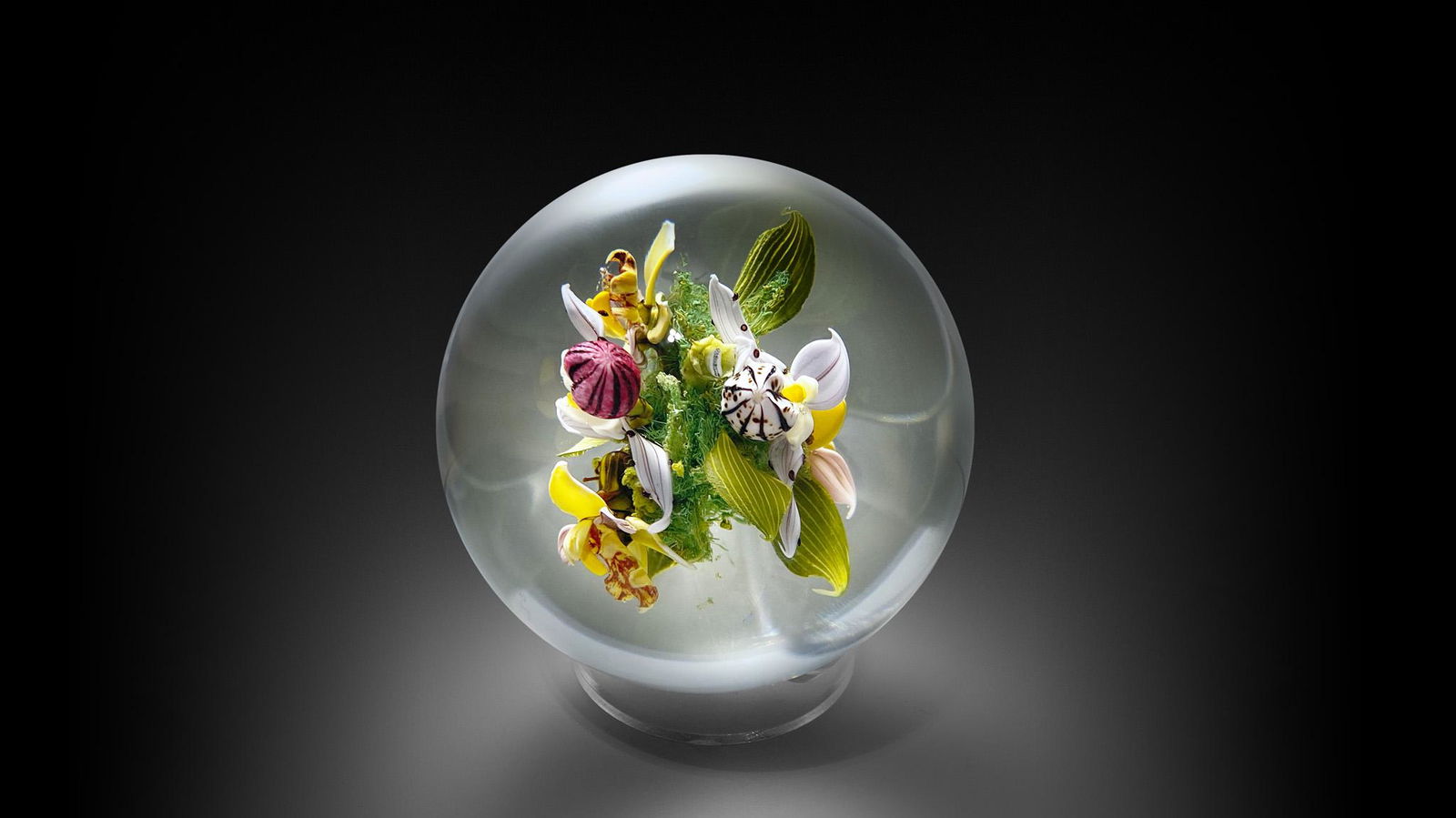 Paul Stankard Orchard Insect Paperweight Art Habatat (1 of 2)