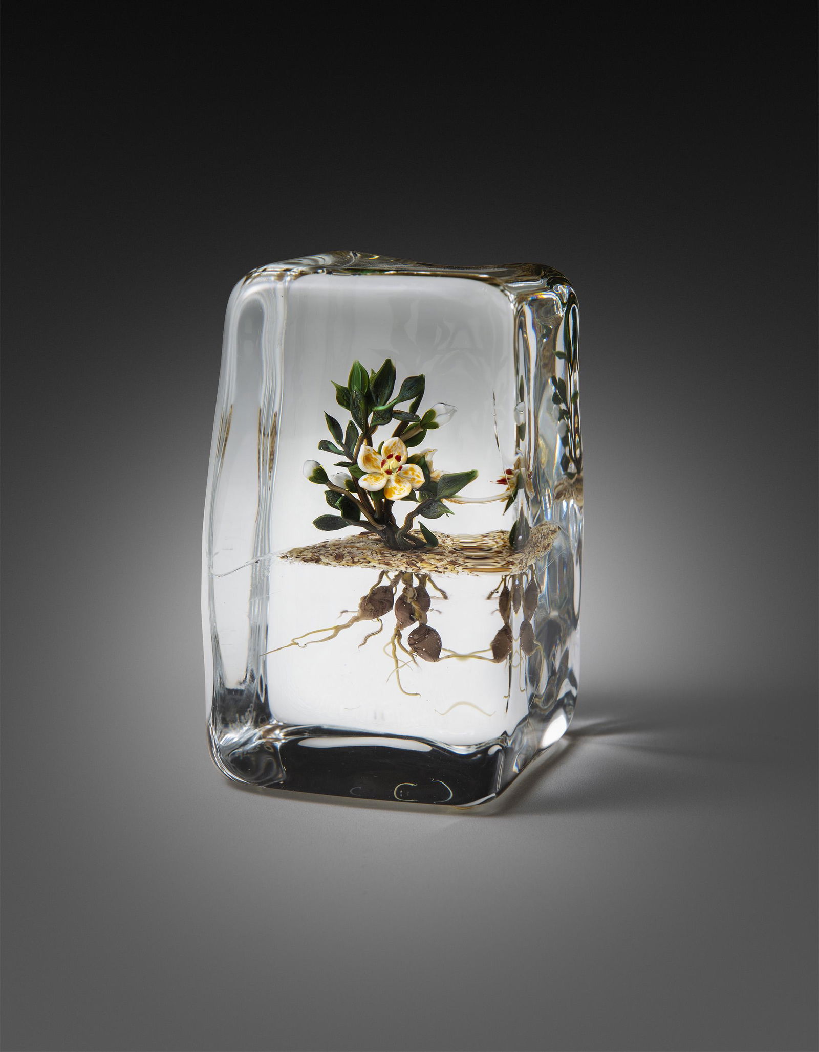 Paul Stankard Botanical Paperweight Art Glass Habatat (1 of 1)