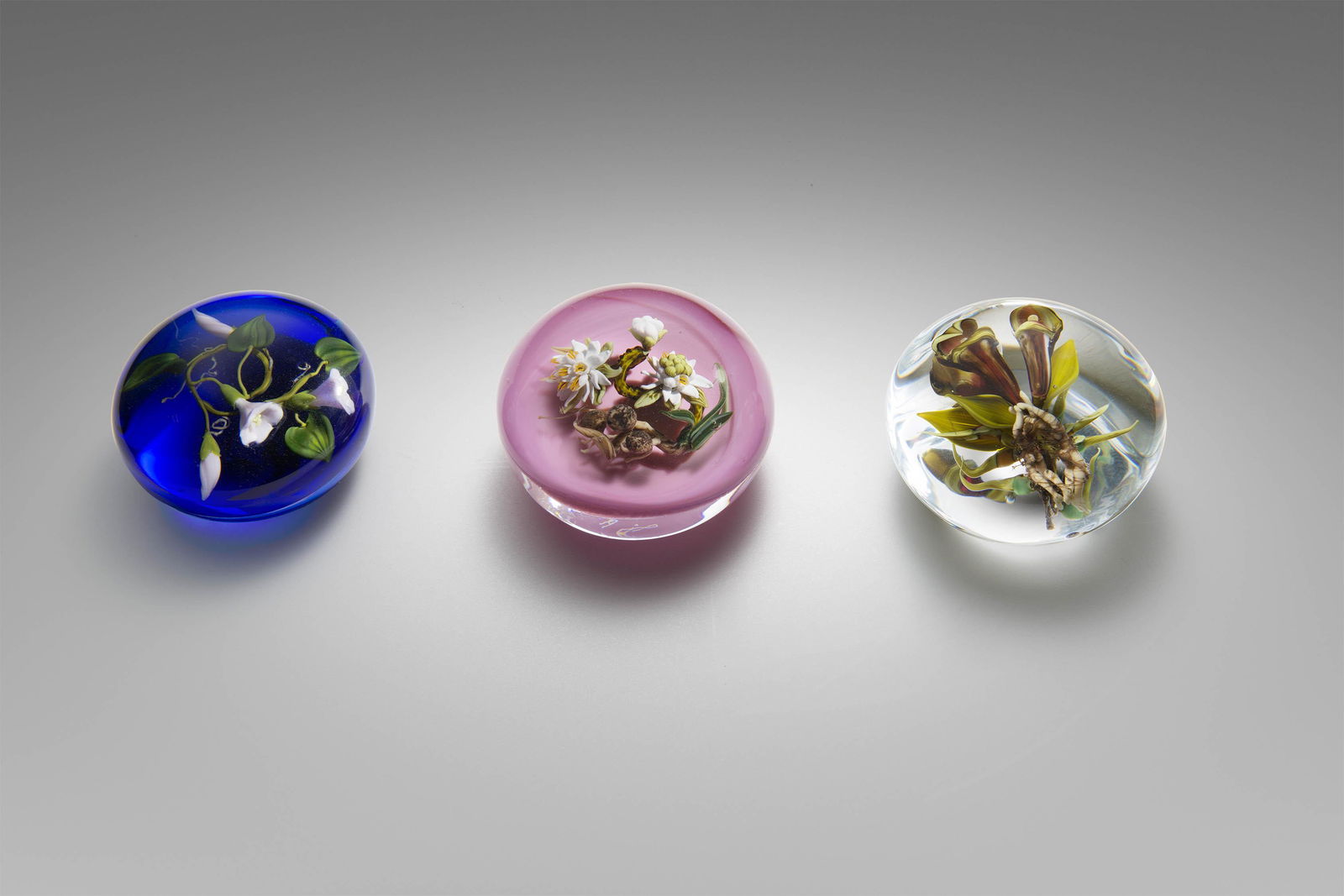 Paul Stankard 3 weight collection Art Glass Habatat (1 of 1)