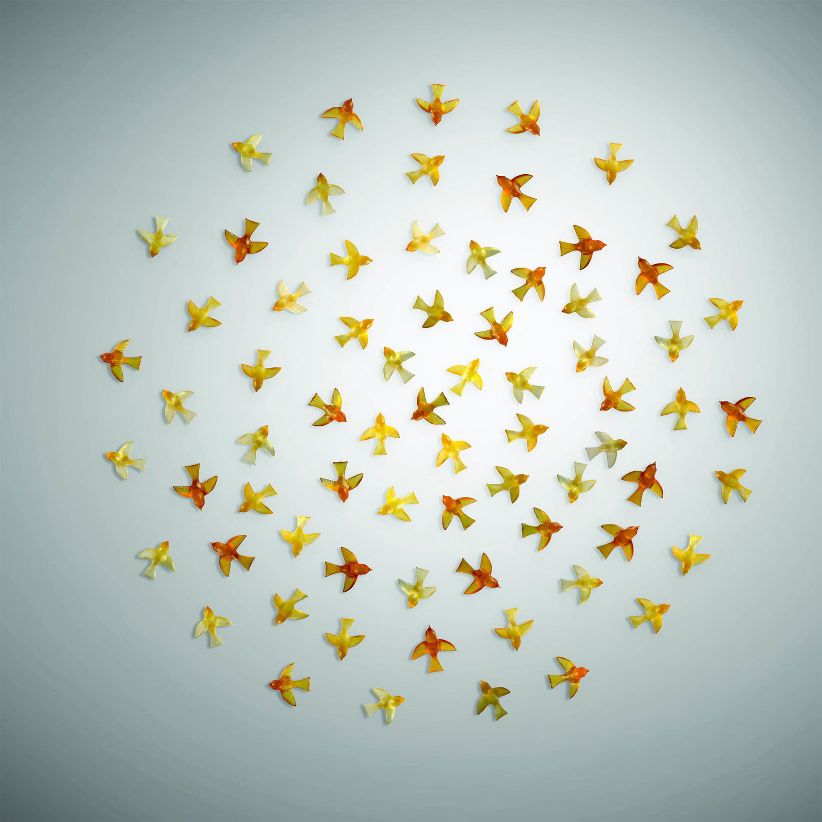 Rob Snyder Amber Birds Art Glass Habatat Wall (1 of 1)