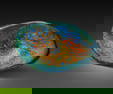 Colin Heaney Elevated Coolaman Glass Sculpture Art