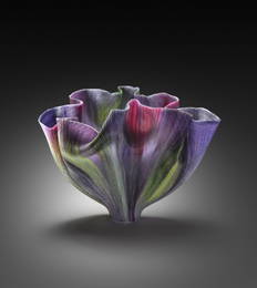 Toots Zynsky Northern Bald Ibis Large Art Glass