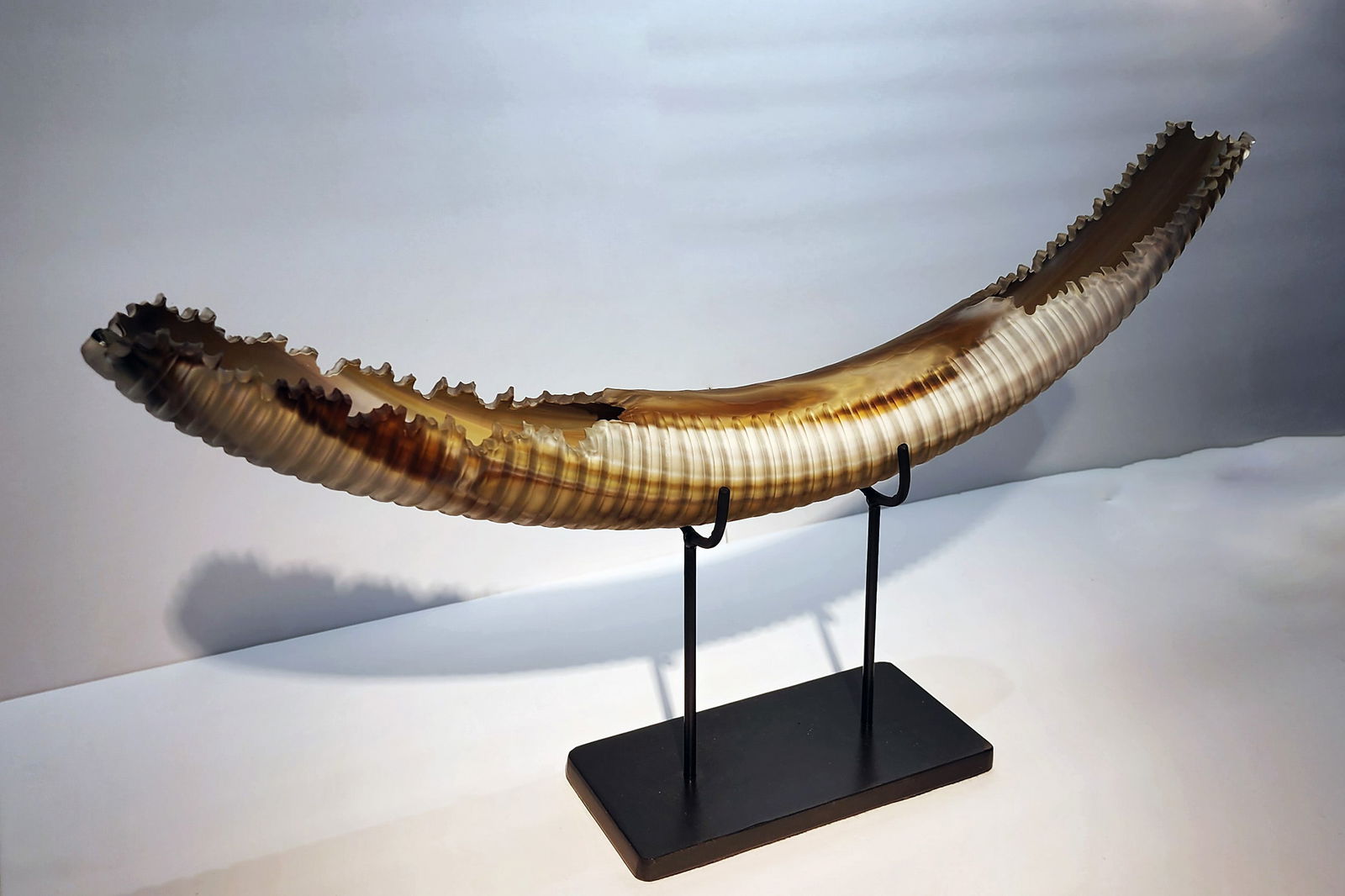 Richard Ryan Untitled Tusk Sculpture Art: Richard Ryan (USA), Untitled Tusk Sculpture, 2013. 12.25 x 24 x 4.25 inches. A blown and cold-worked sculpture with a metal stand. From a private collection. Signed by the artist.