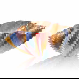 Toots Zynsky Present Chaos Art Glass