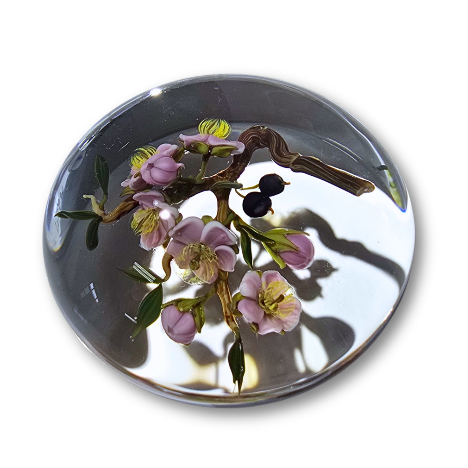 Paul Stankard Fruit Blossom Weight 107 A275 Art Glass: https://www.youtube.com/watch?v=IVVJLMQkRdc Paul Stankard Country of origin: United States Title: Paul Stankard Fruit Blossom Weight 107 A275 Date: 1985 Dimensions: 2 x 3 x 3 inches Process and materi