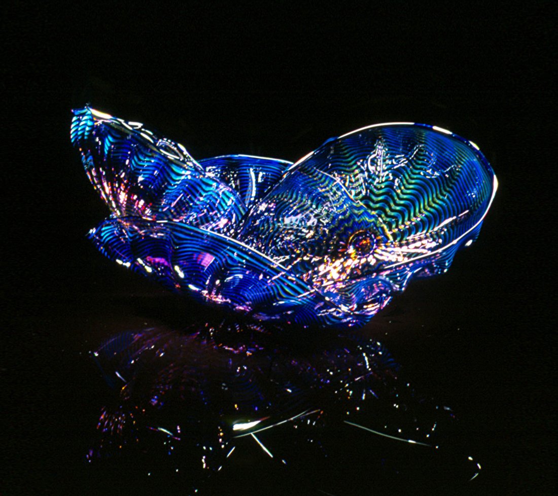 Dale Chihuly Orchid Seaform Set Glass Art Habatat (1 of 1)