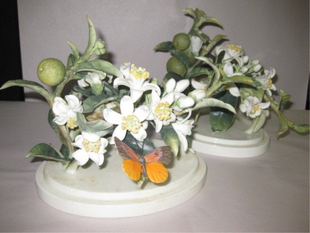 Pair Dorothy Doughty Orange Blossoms & Butterflies: Royal Worcester, 7 x 9 inches