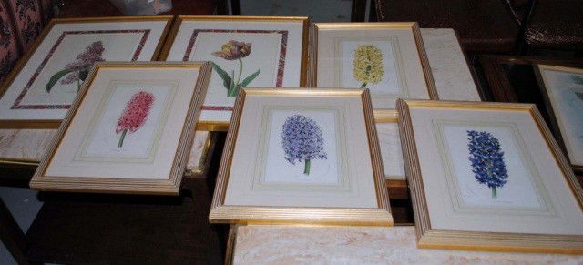 Group of 6 Floral Prints: set of 4 and pair, set of 4 having 9 x 5 1/2 inch mat openings, pair having 12 1/2 x 9 1/4 inch mat openings