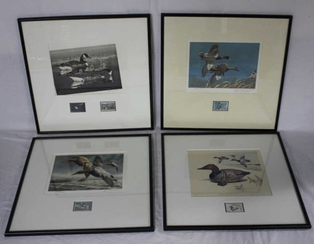 Set of Four (4) Federal Duck Stamp Prints. 1970-80: Canvas Backs, by Maass, 1981, "Mallards" by Plasschaert, 1981, and "Canvasback" by James P. Fisher. 1976. All framed to 17 x 16.5 inches. Black and white. Magee.
