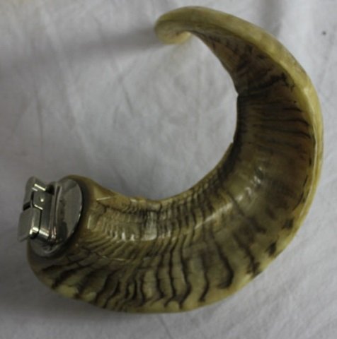 Antique Taxidermy Ram's Horn Antler Lighter Mount: Length 9"