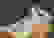 item-32384265=2