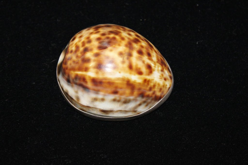 Cartier Sterling Silver and Shell Snuff Box: Hallmarked 925 Silver Length 2.75 Inches Width 2.5 Inches