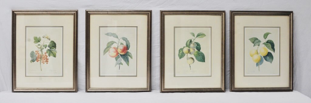 Four Framed Fruit and Flora Prints: PJ Rodonte Langlois Height 11 Inches Width 8 Inches (not including frame)