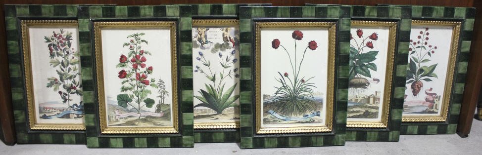 Group of six Floral Prints: Custom Framed Height of Print 14 Inches Width 10 Inches