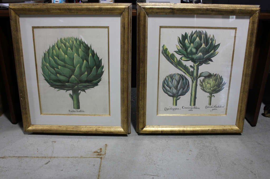 Pair of Large Artichoke Prints: Print Height 20 Inches Width 16.5 Inches Framed Height 30 Inches Width 16 Inches