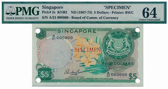 SINGAPORE Orchid Specimen PMG 64 (1 of 1)