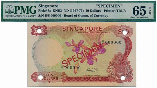 SINGAPORE Orchid Specimen PMG 65 EPQ (1 of 1)