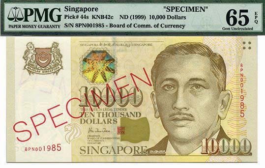 SINGAPORE PORTRAIT specimen (1 of 1)