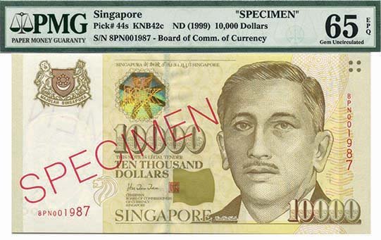 SINGAPORE PORTRAIT specimen (1 of 1)