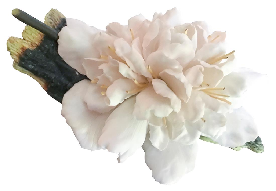 helen Boehm "Camellia: Porcelain Bisque Decorated Floral Camellia. Hand-painted, Hand-created, Boehm, USA, Hallmark: 300-25. 1978, Edition Of 500. Closed Edition By 1980. Size: 4" H X 7 1/2" W X 6" D. Condition: Excellent, 