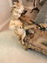 Magnificent Pair Of Italian Rococo Carved Beds - 5
