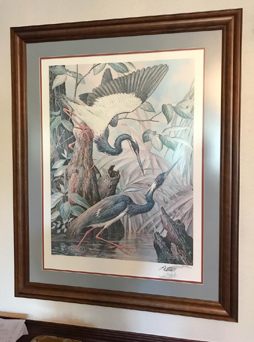 Basil Ede.    Louisiana Heron (1 of 3)