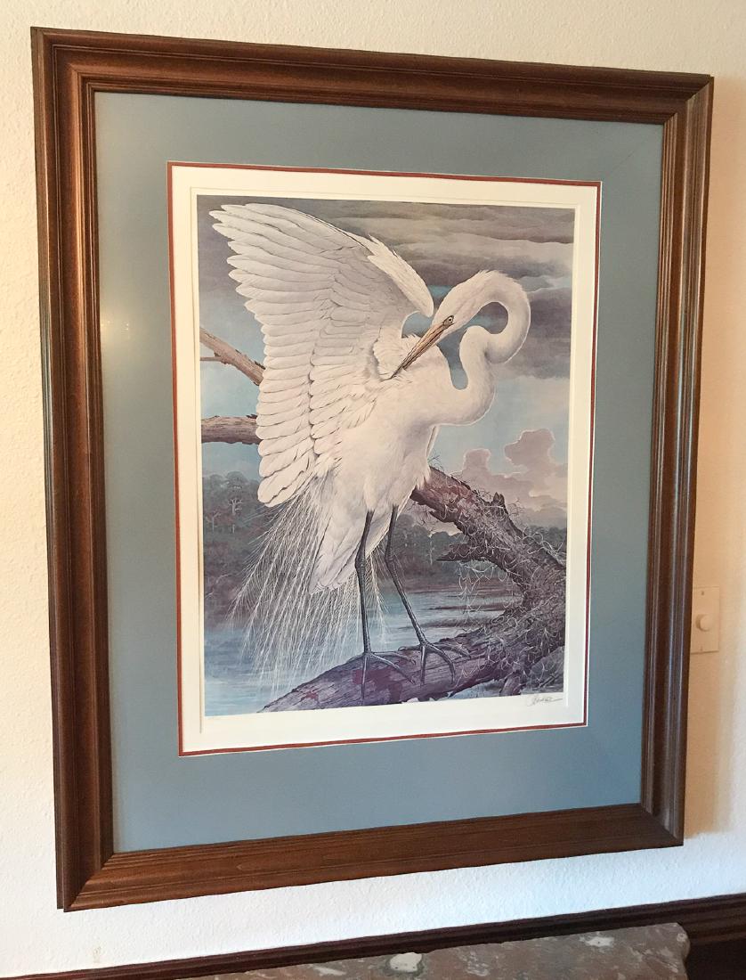 Basil Ede.   American Egret (1 of 3)