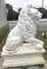 Life Size Pair Of Marble Lions.
