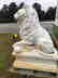 Life Size Pair Of Marble Lions. - 4