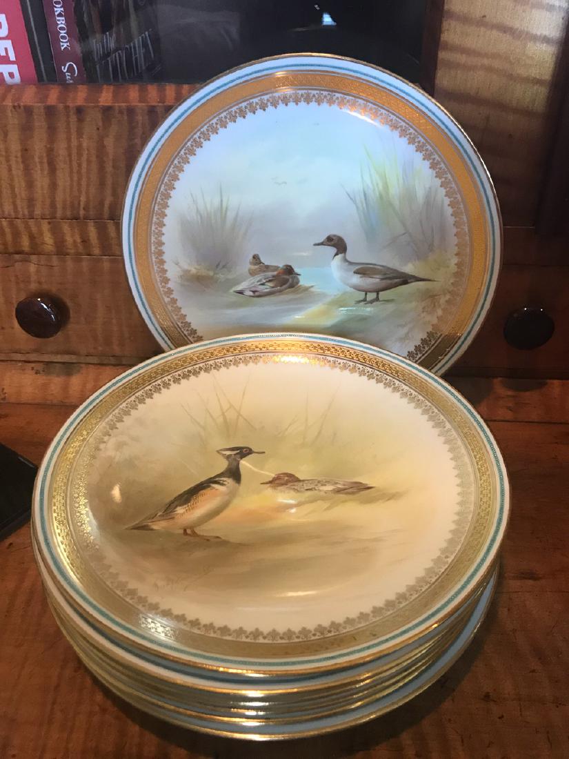 Set Of 12 Royal Doulton Plates. (1 of 4)