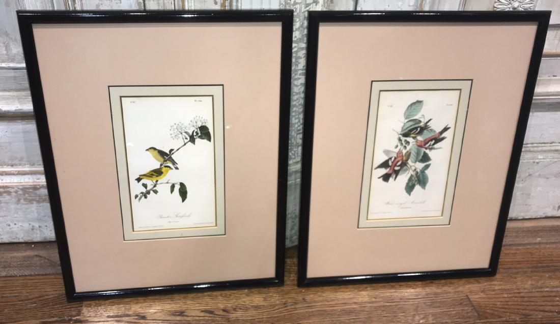 2 Framed Bird Engravings (1 of 5)