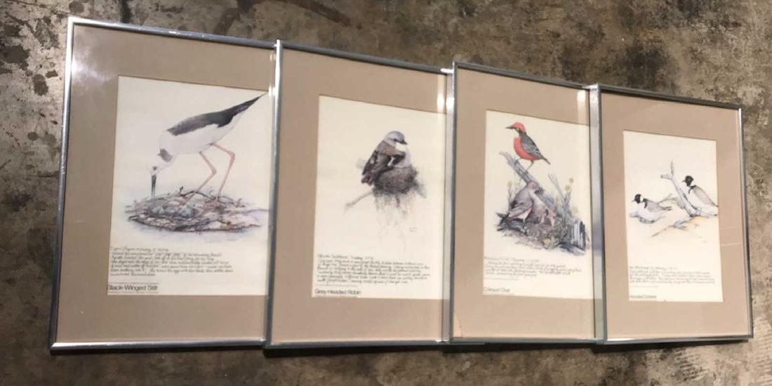 4 Framed Bird Drawings (1 of 7)