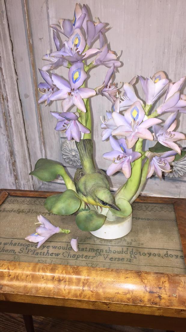 Royal Worcester Yellow Throat Trichas: See photos for damage