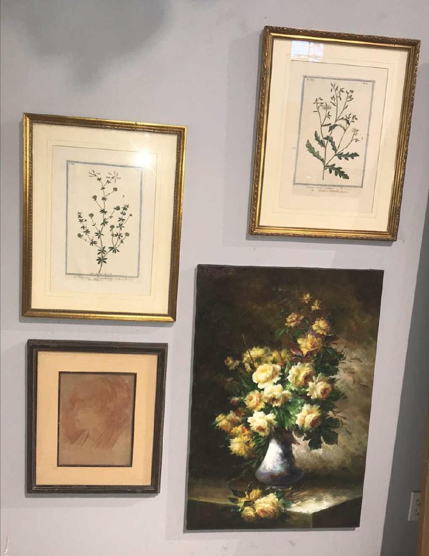 4 Piece Art Lot: Floral oil on canvas Painting 36x24 Signed Wang Qi Cheng 2 framed botanicals 19x 24 Framed drawing 17 x 20.25