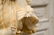 19th C. French Marble Statue. - 3