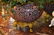 Chinese Cloisonne Planter. - 4