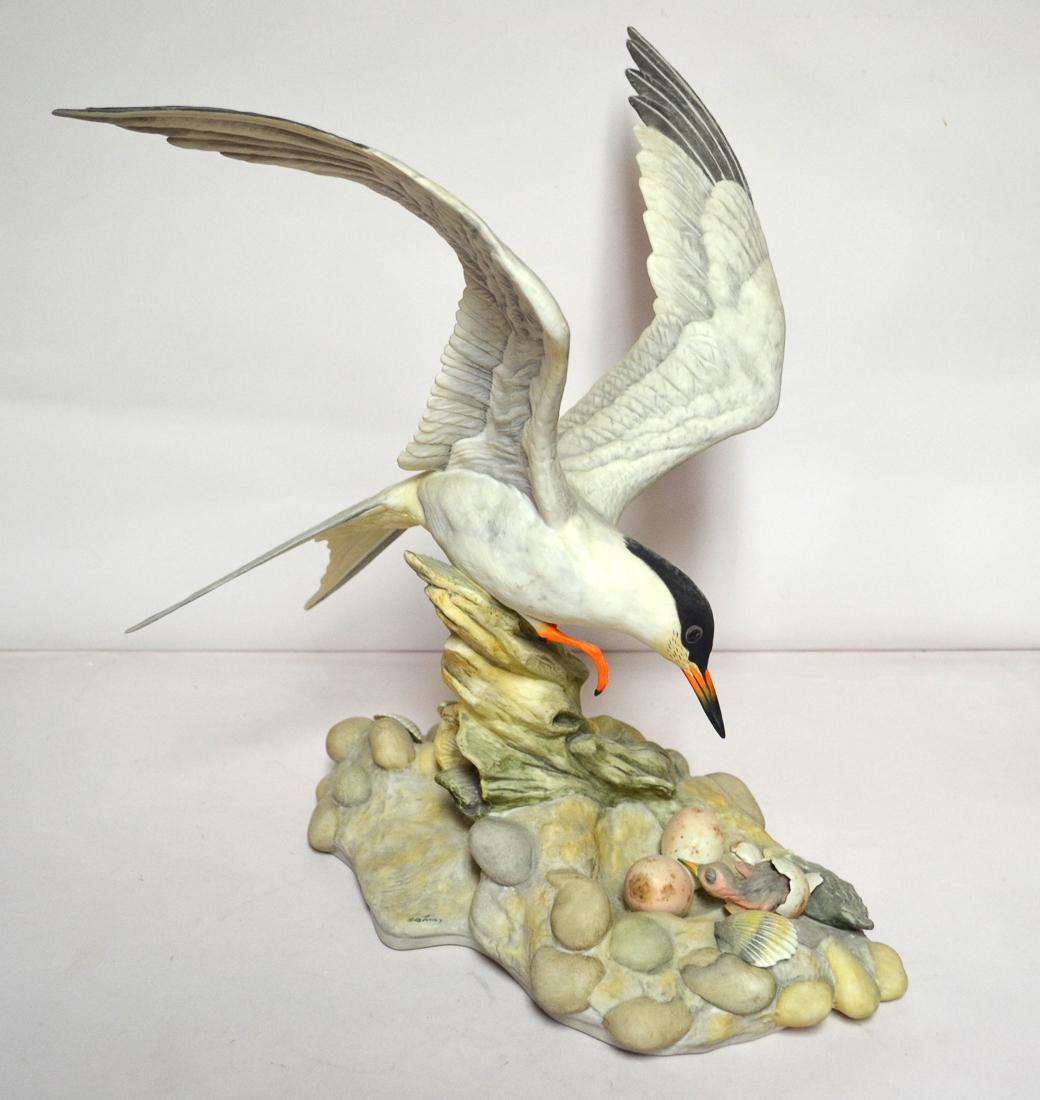 BOEHM PORCELAIN COMMON TERN (1 of 4)