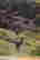 item-76090213=4