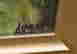 item-76090213=8